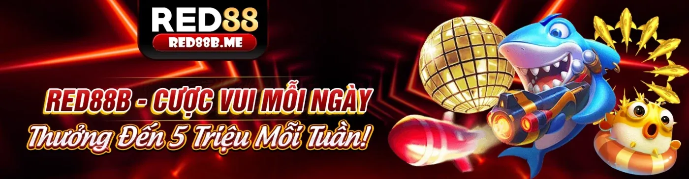 Bước 4: Hoàn tất đăng ký và bắt đầu chơi
